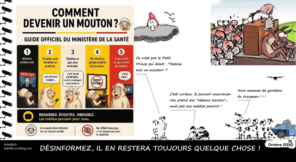 Comment devenir un mouton&nbsp;!
